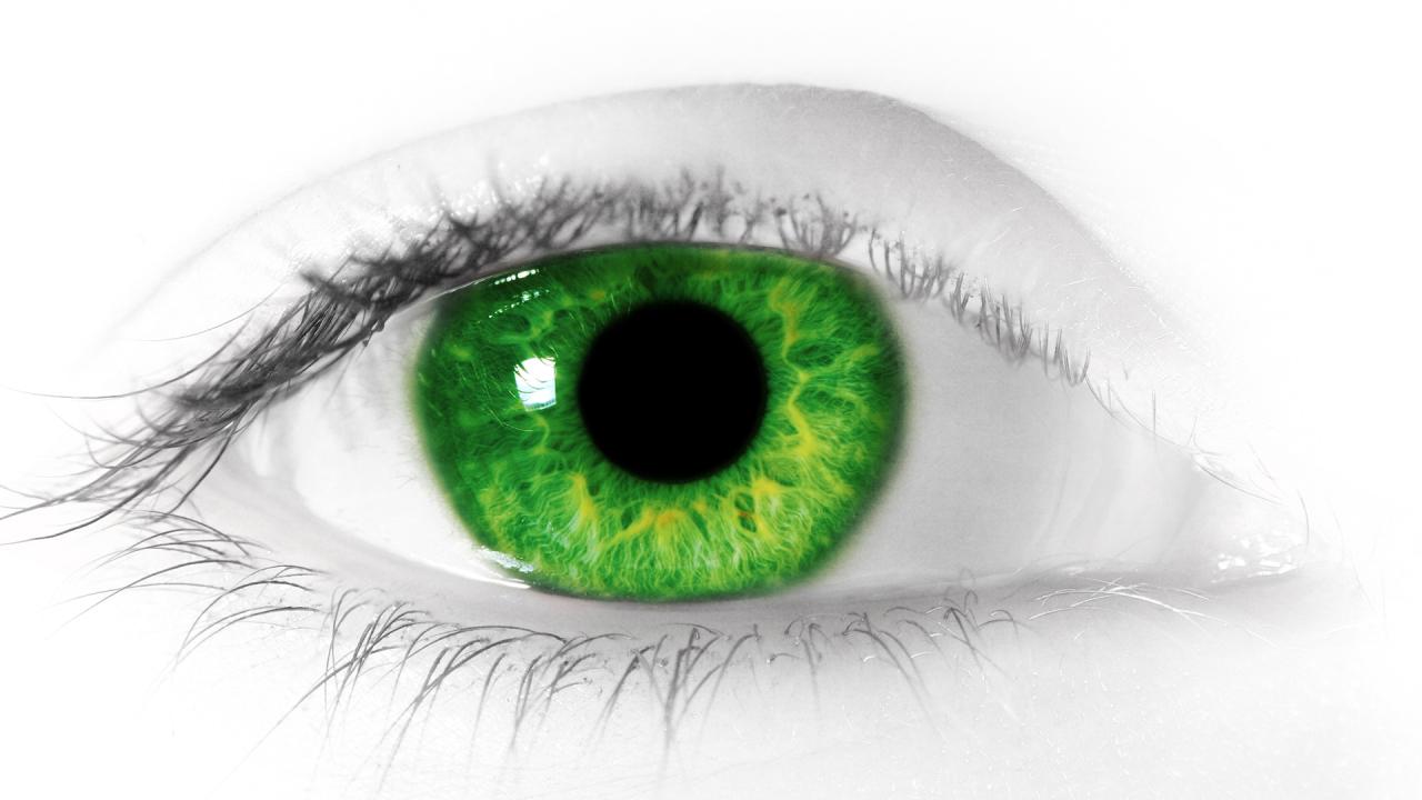 Зеленый глаз на белом фоне