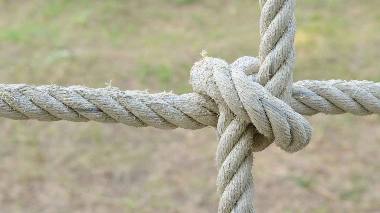 Yeni Rekabet Avantajı: Güveni Dijitalleştirmek