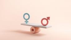 Toplumsal Cinsiyet Eşitliği Algı Değişim Raporu
