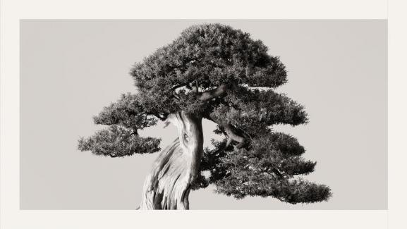 Bir İş Modeli Dönüşümü Olarak Sürdürülebilirlik