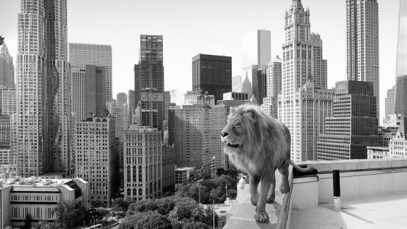 Sürdürülebilirlik Liderinin Evrilen Rolü