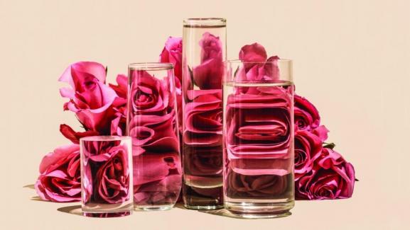 Sürdürülebilirliğe Stratejik Yaklaşmak